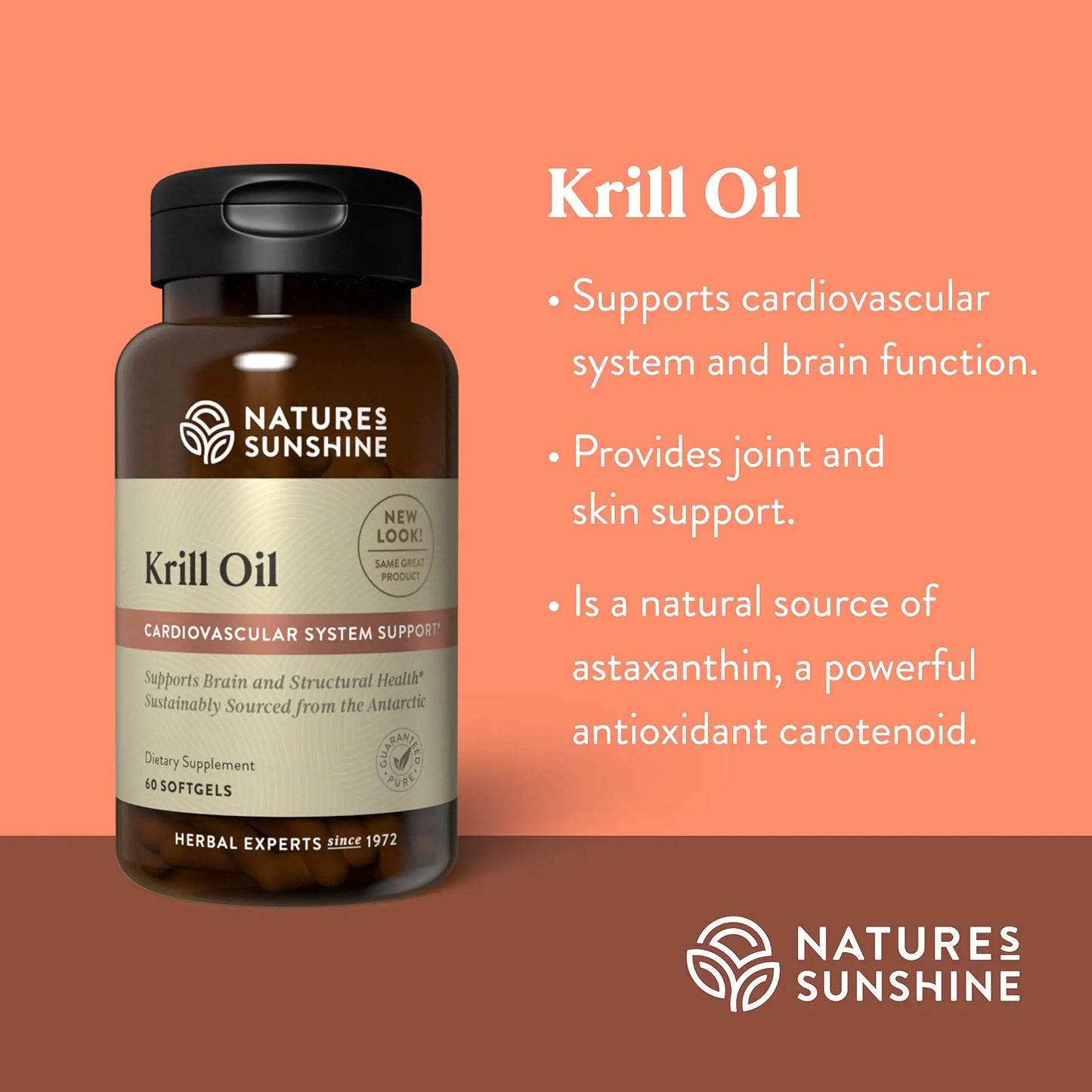 1516_KrillOil_Summary-1920
