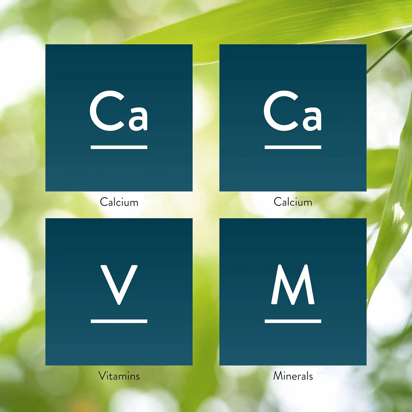 5389_StructuralSystem_Key-1920