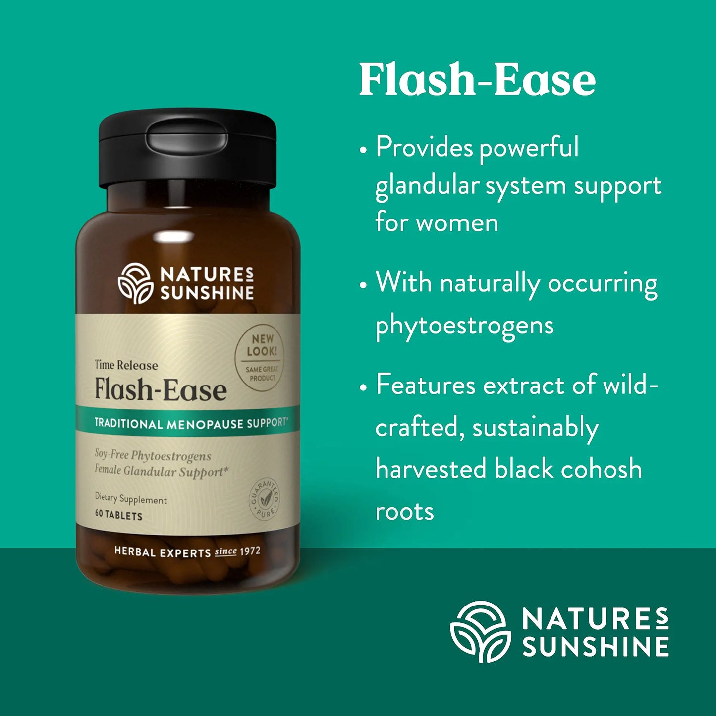 81_Flash-Ease_Summary-1920
