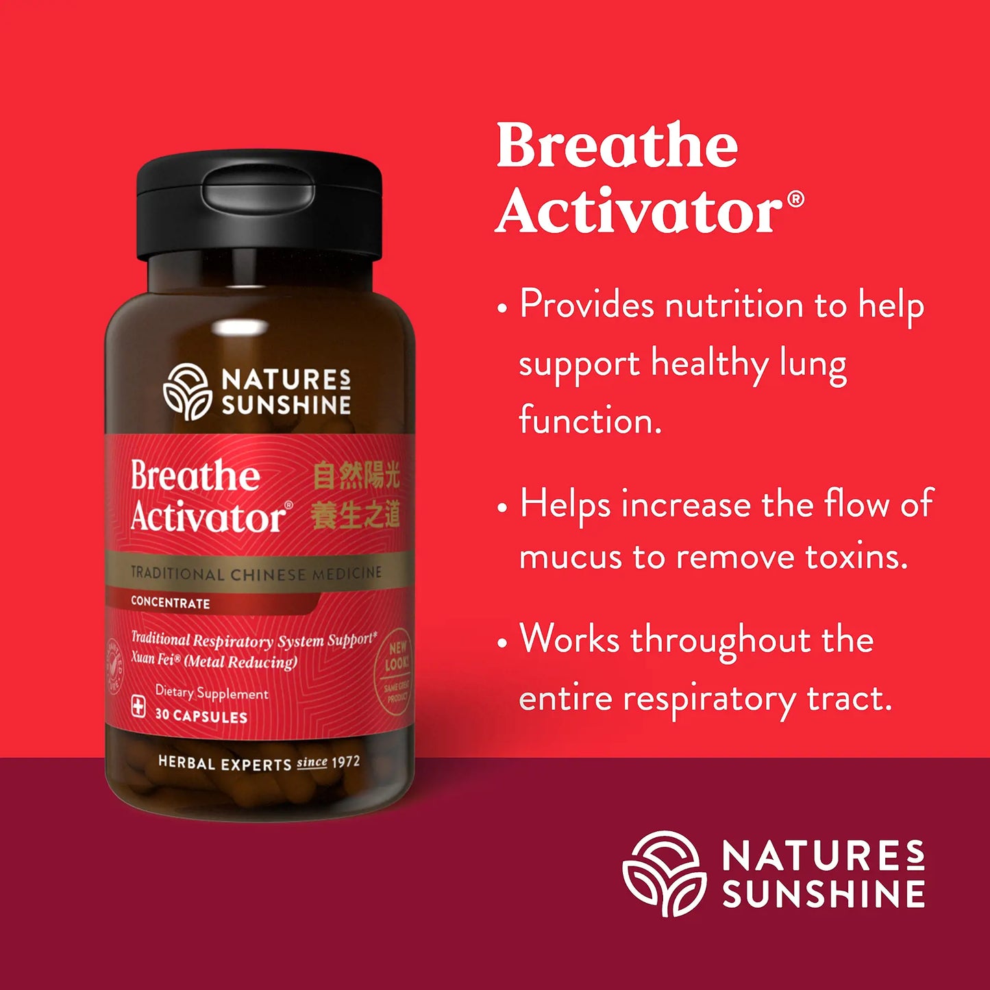 1036_BreatheActivator_Summary-1920