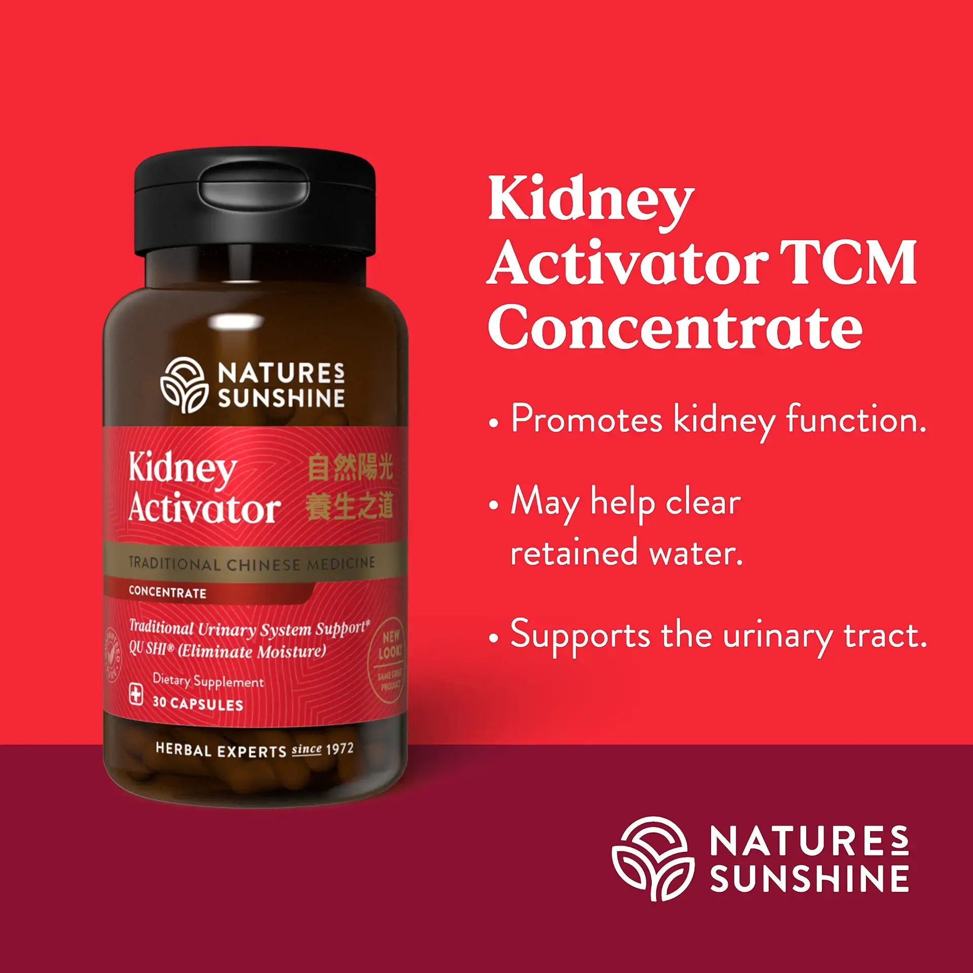1040_kidneyactivatortcmconcentrate_summary-1920