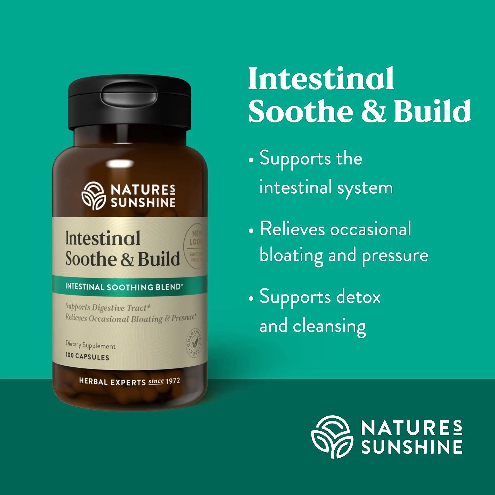 1106_IntestinalSoothe_Build_Summary-1920