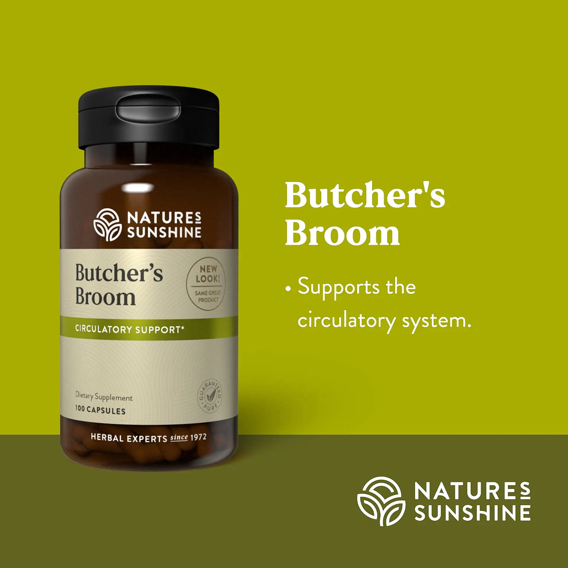 135_Butcher_sBroom_Summary-1920