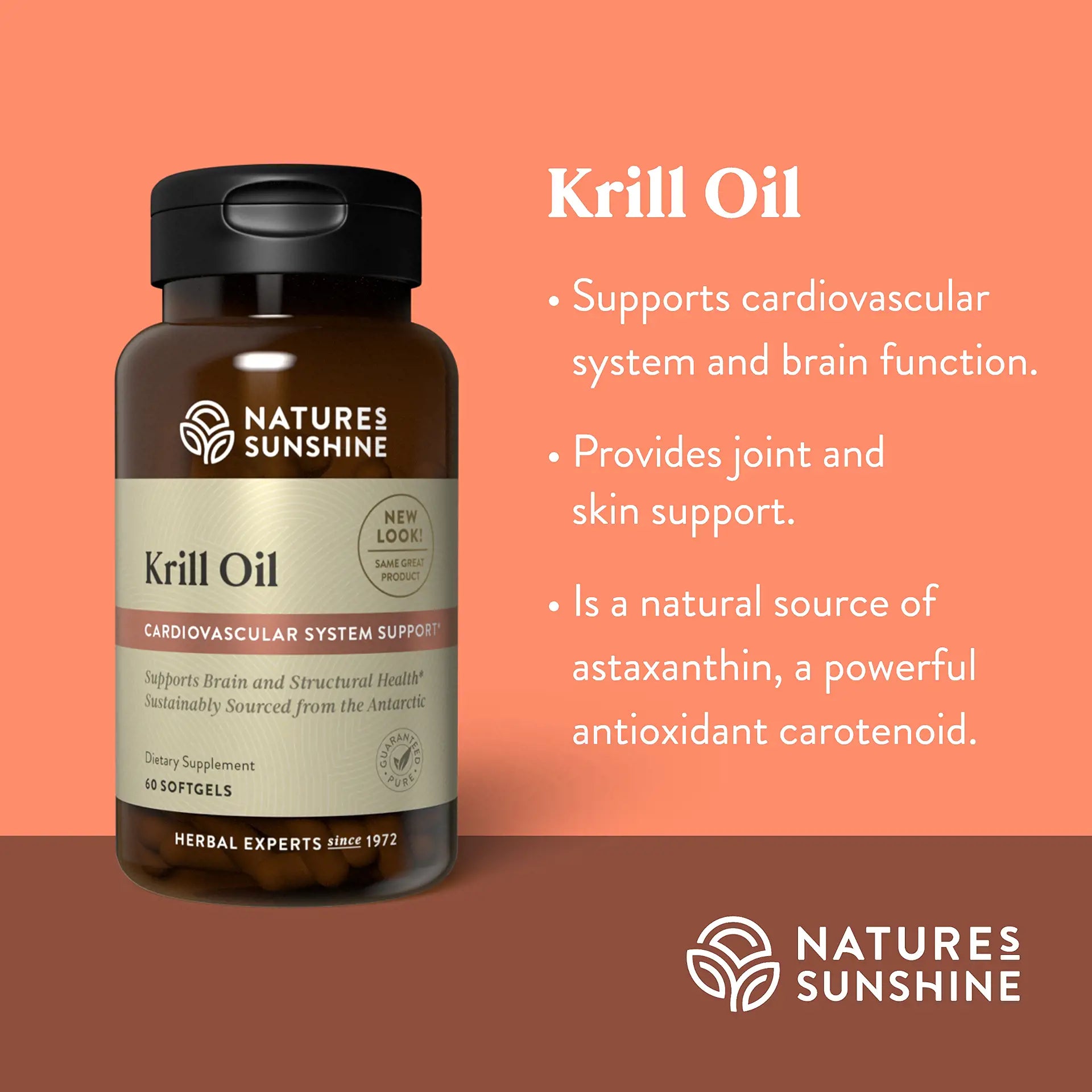 1516_KrillOil_Summary-1920