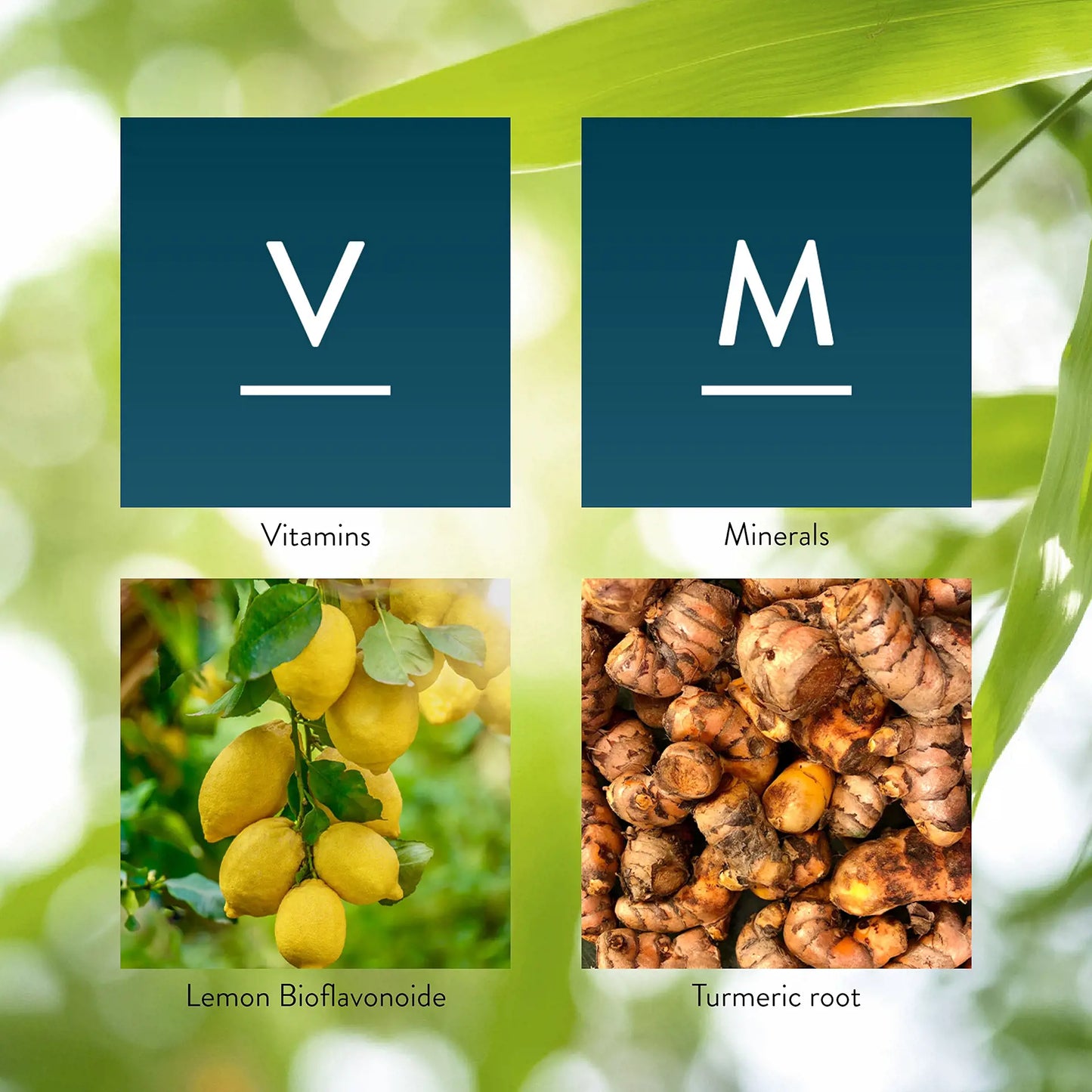 1619_Multivitamin_Mineral_Key-1920