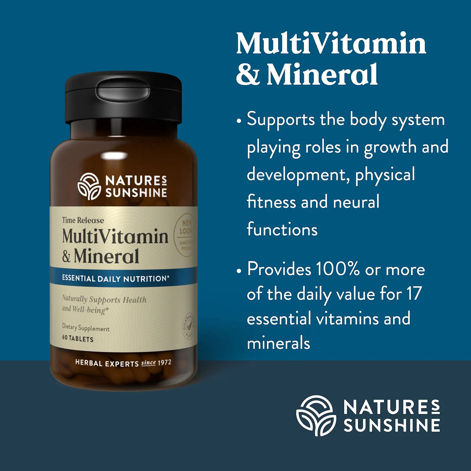 1619_Multivitamin_Mineral_Summary-1920