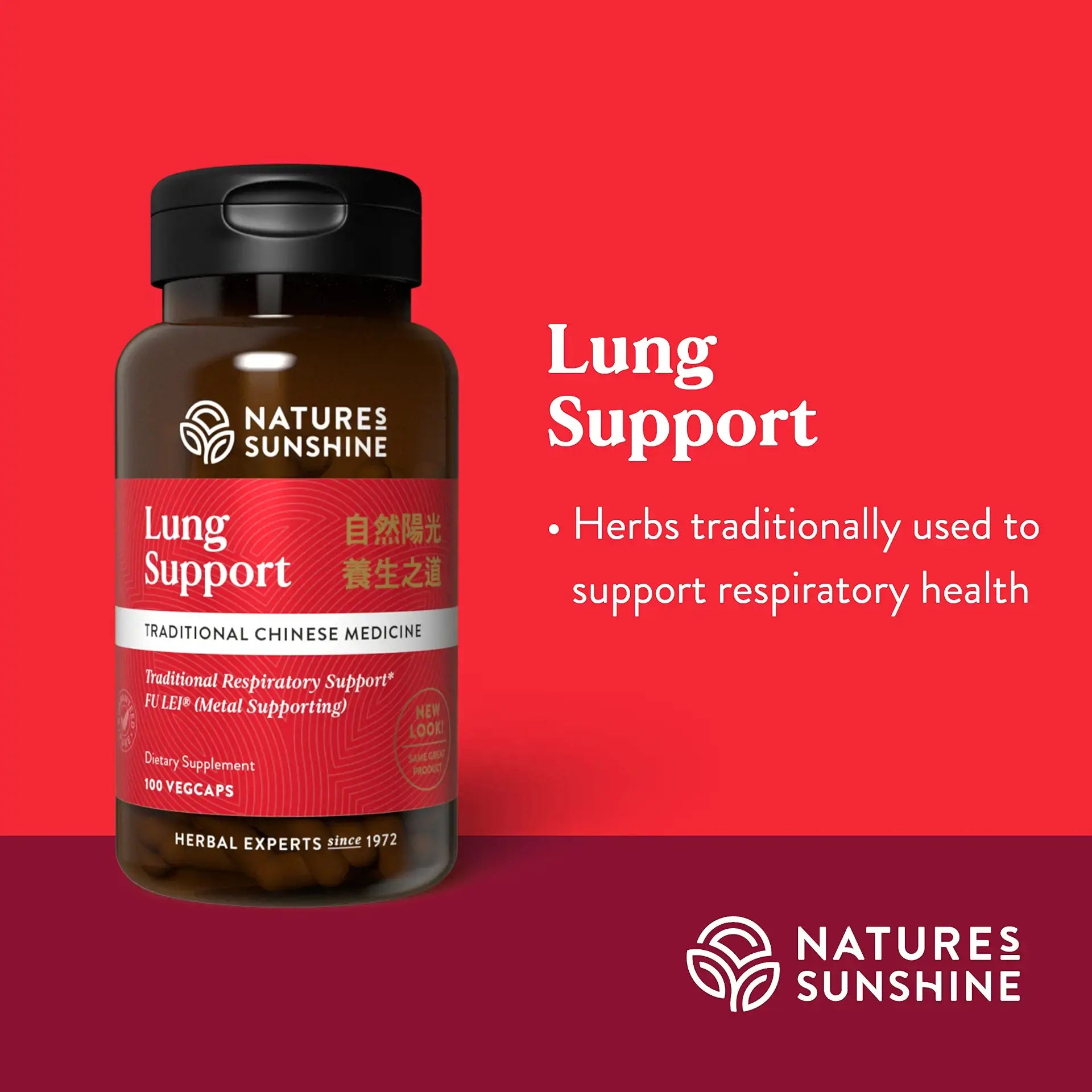 1887_lungsupport_summary-1920
