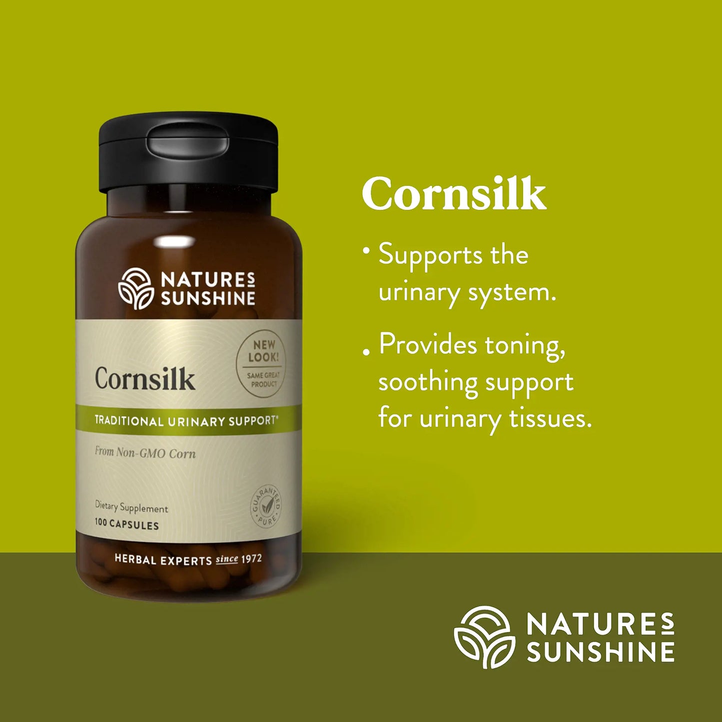 235_Cornsilk_Summary-1920