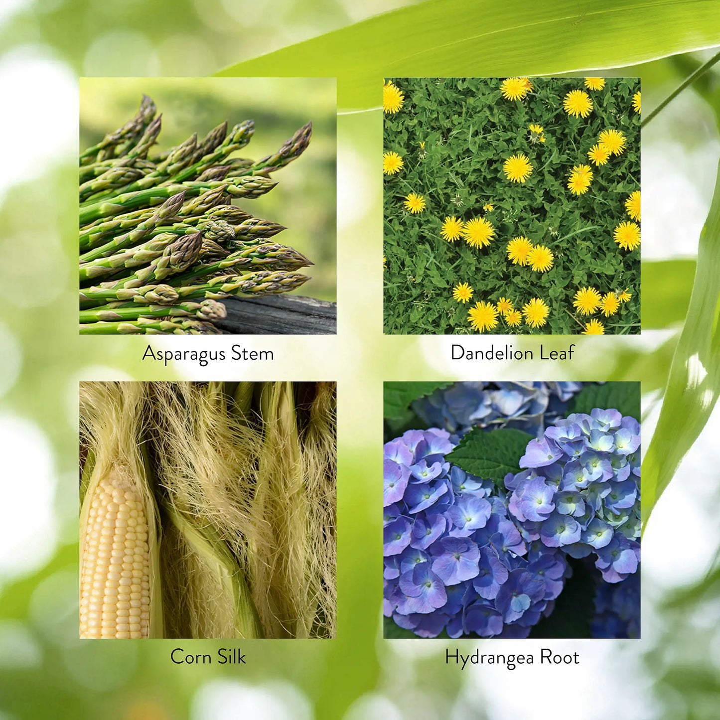 2884_UrinaryMaintenance_Key-1920