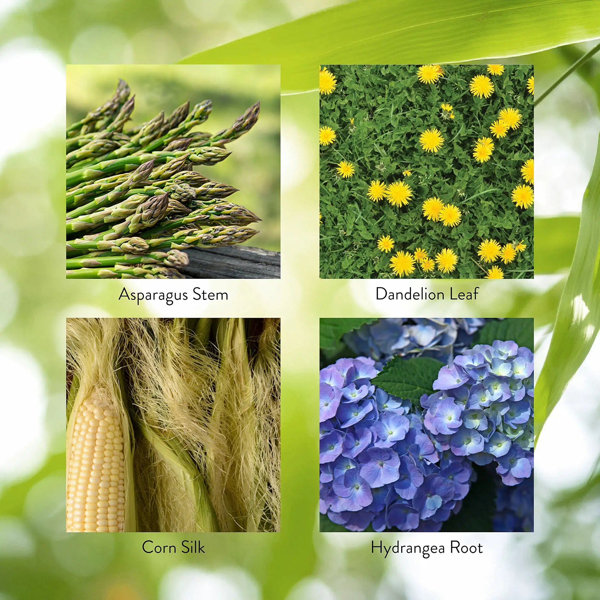 2884_UrinaryMaintenance_Key-1920