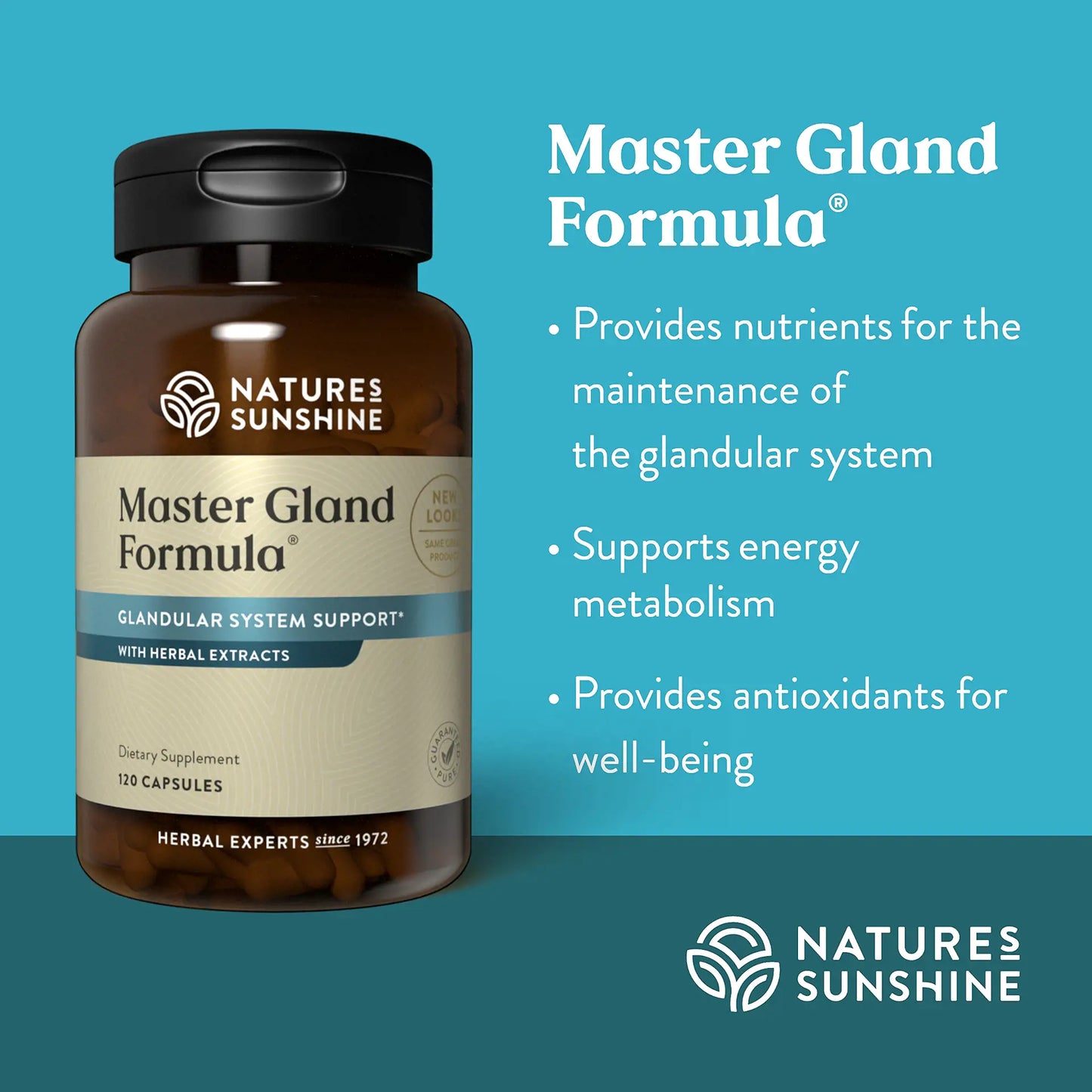 3040_Master_Gland_Formula_Summary-1920