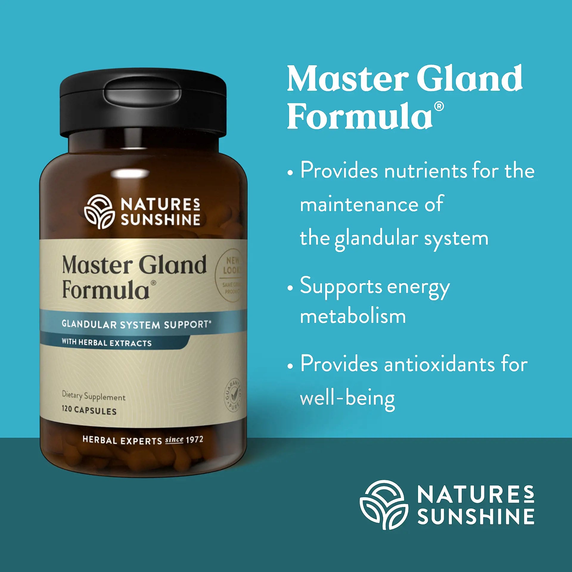 3040_Master_Gland_Formula_Summary-1920