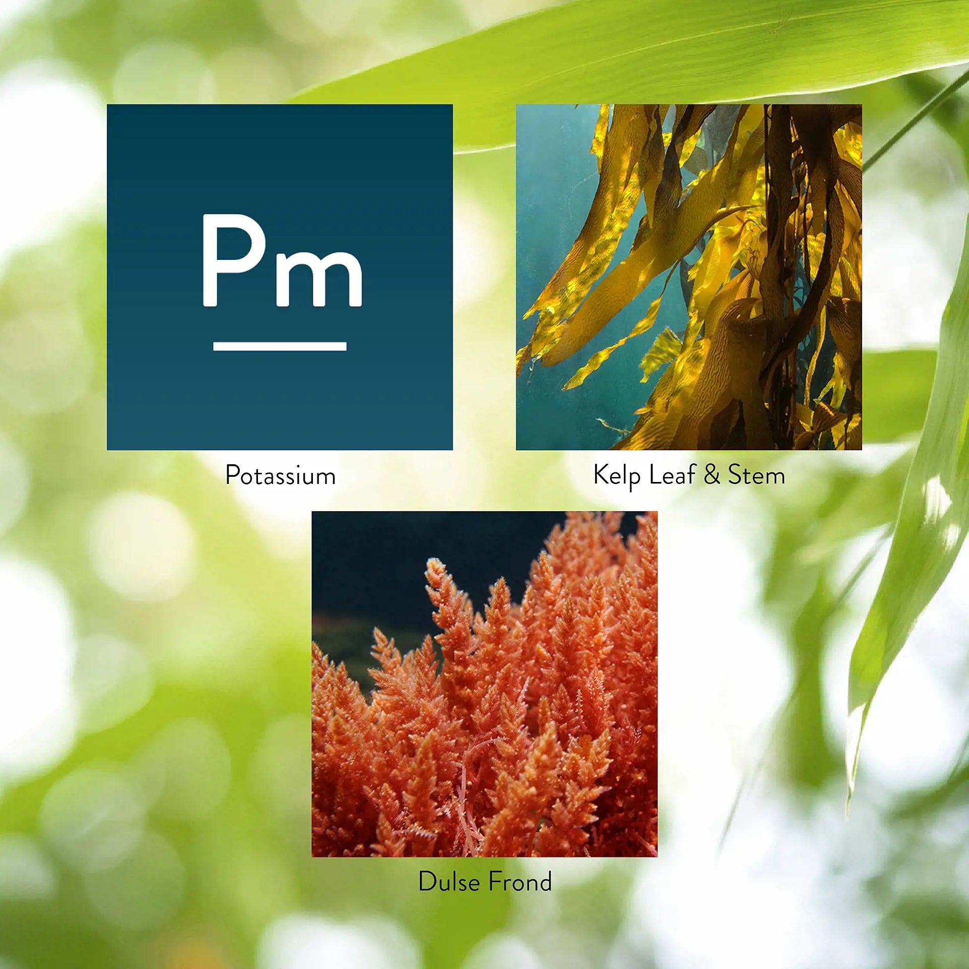 3673_CombinationPotassium_Key-1920