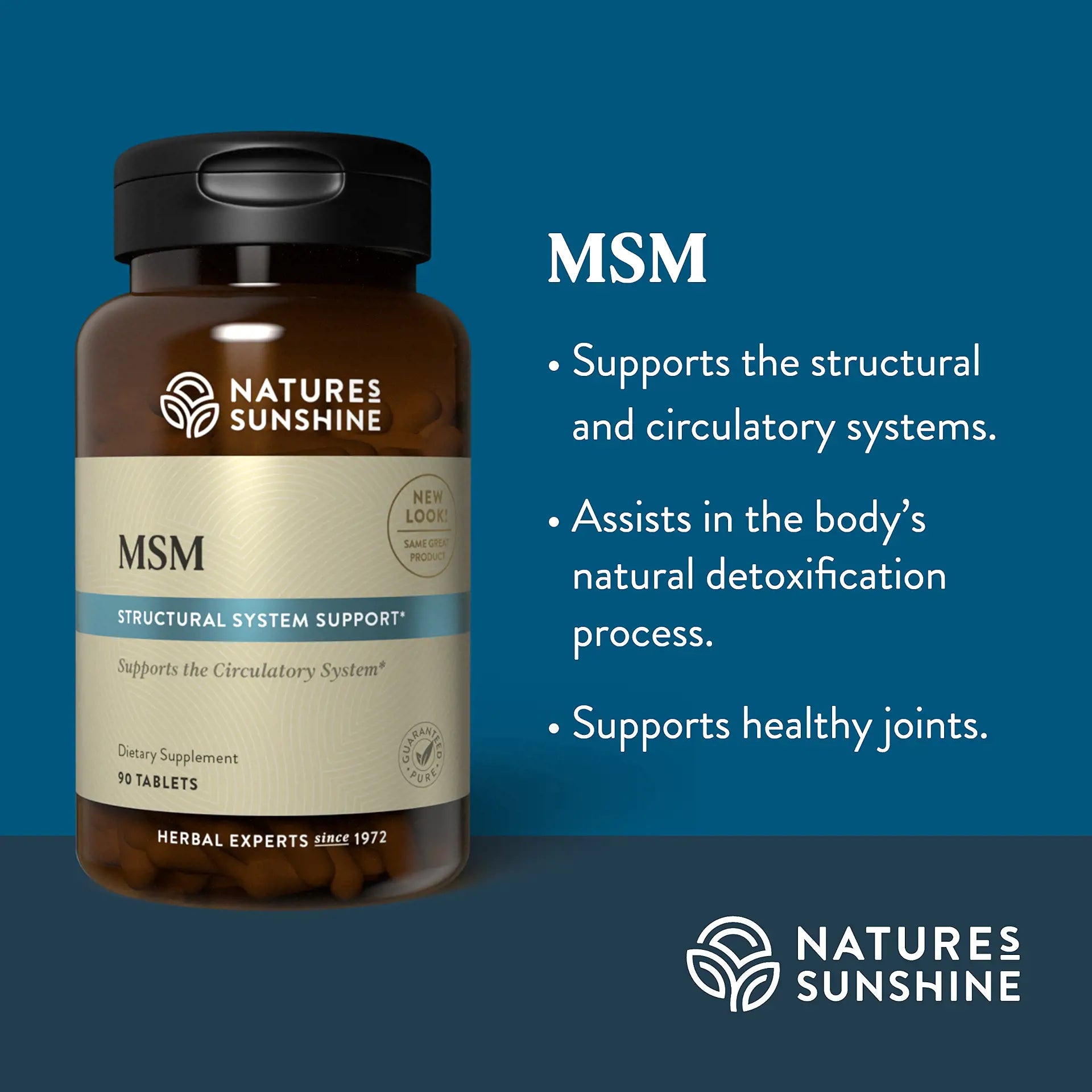 4059_MSM_Summary-1920