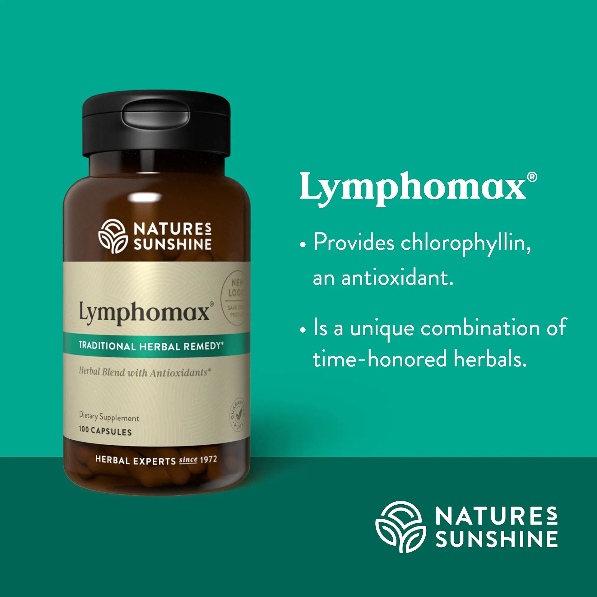 4077_Lymphomax_Summary-1920