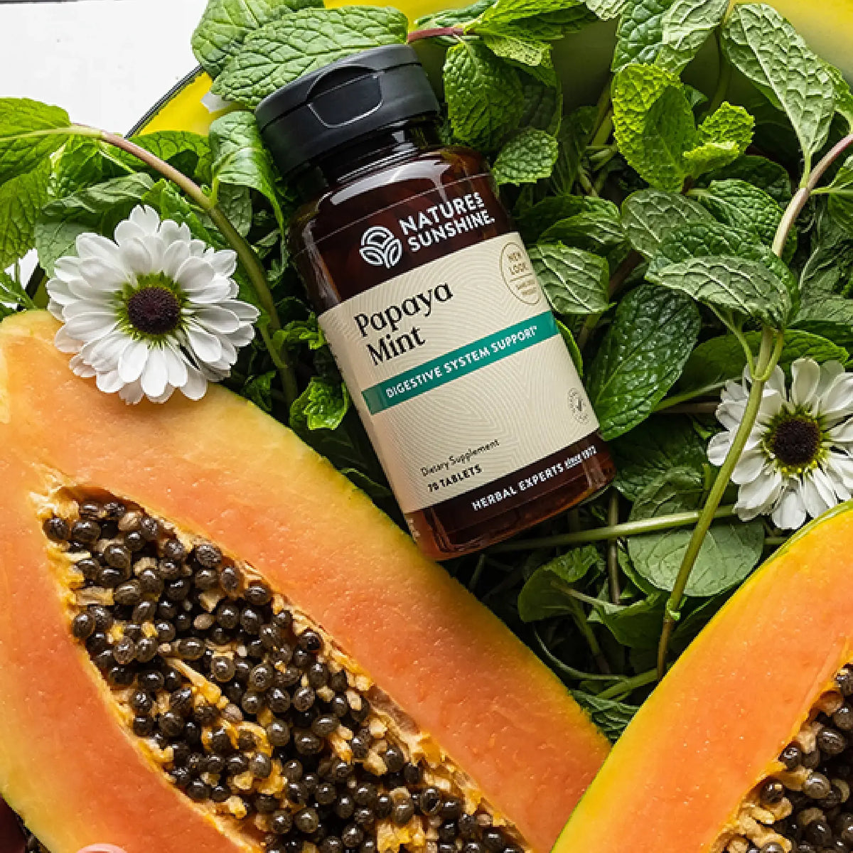 Papaya Mint (70 Chewable Tablets) – Nature's Sunshine
