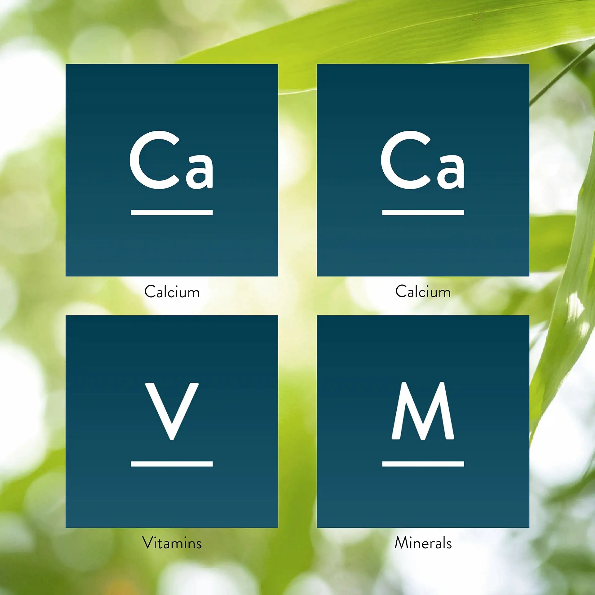 5389_StructuralSystem_Key-1920
