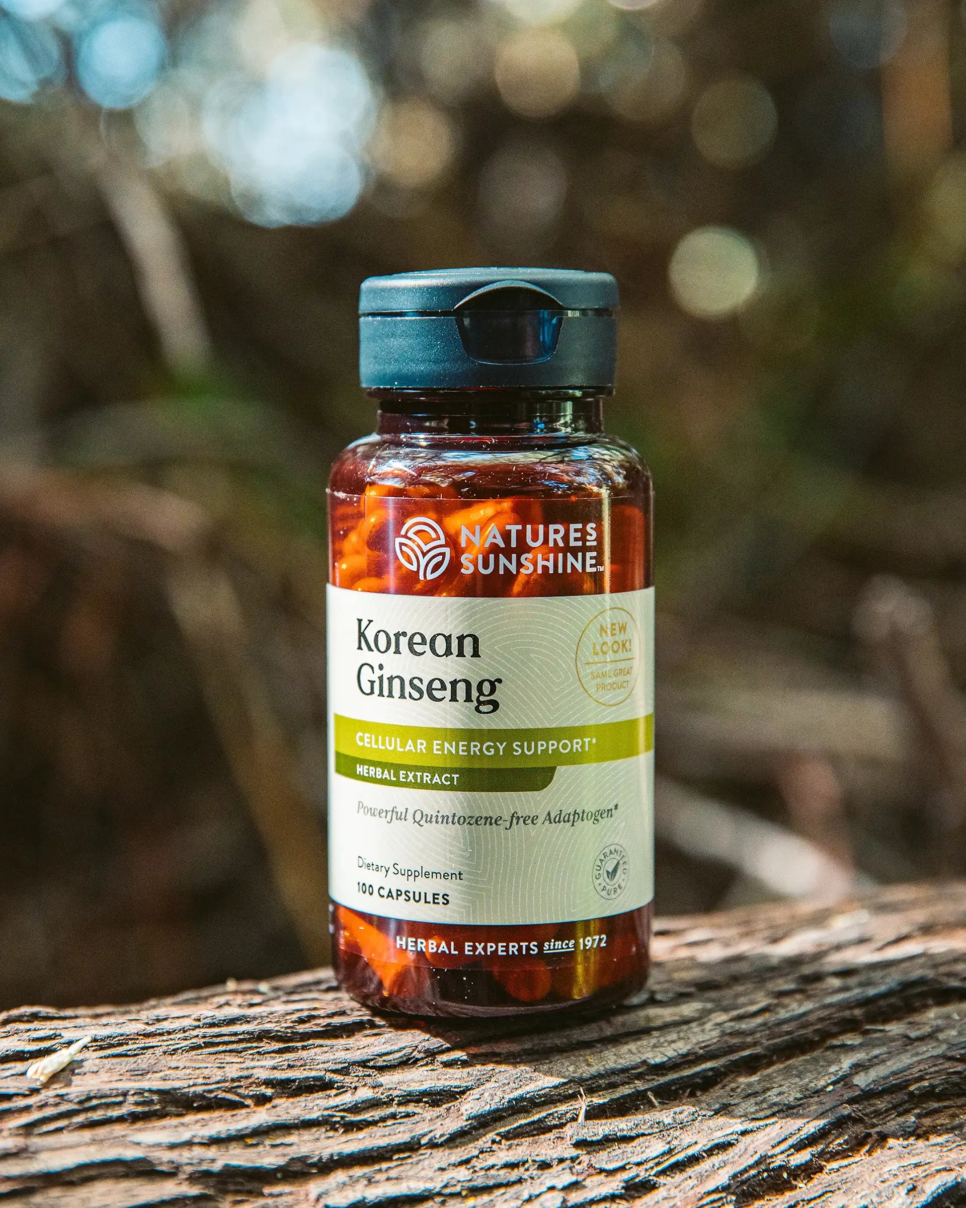 665_korenginseng_life1-1920