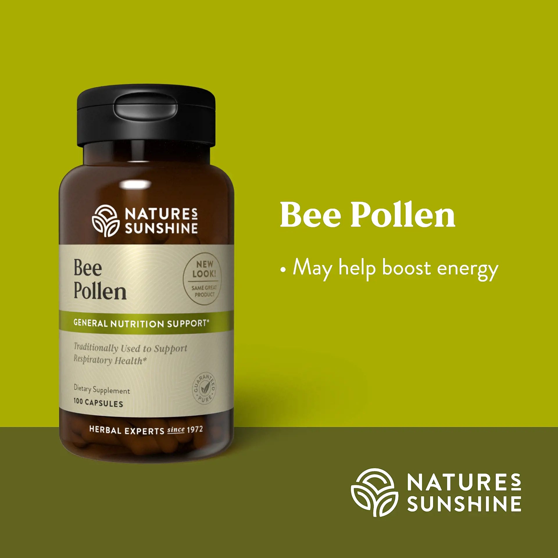 70_BeePollen_Summary-1920