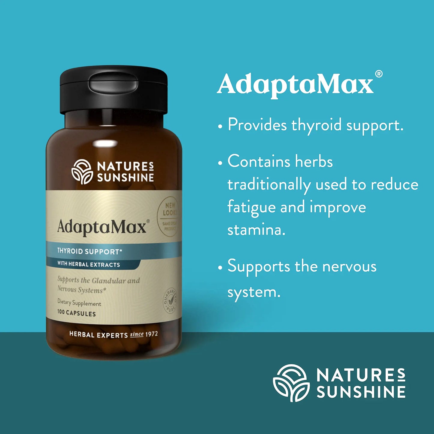 872_AdaptaMax_Summary-1920