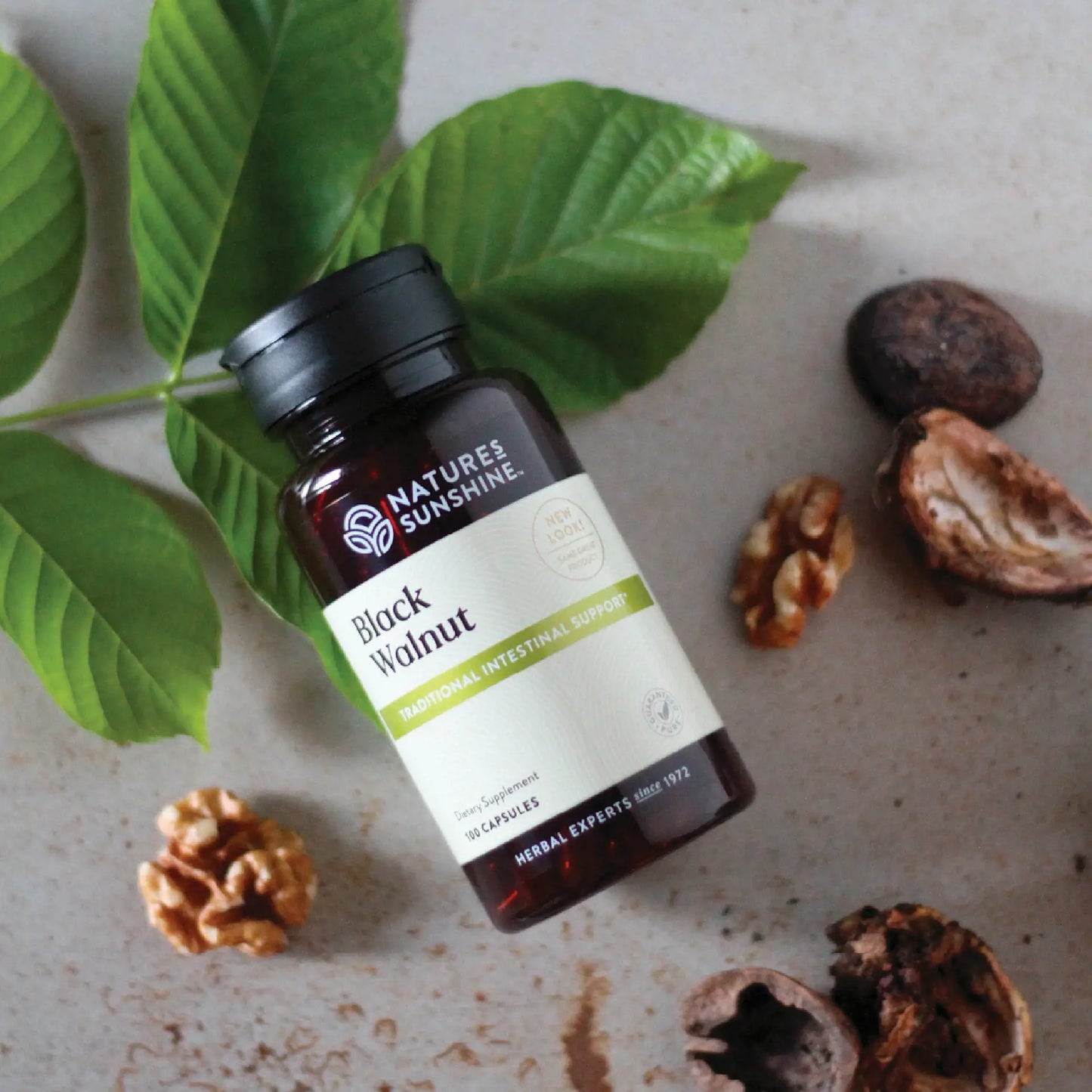 93_BlackWalnut_Life1-1920