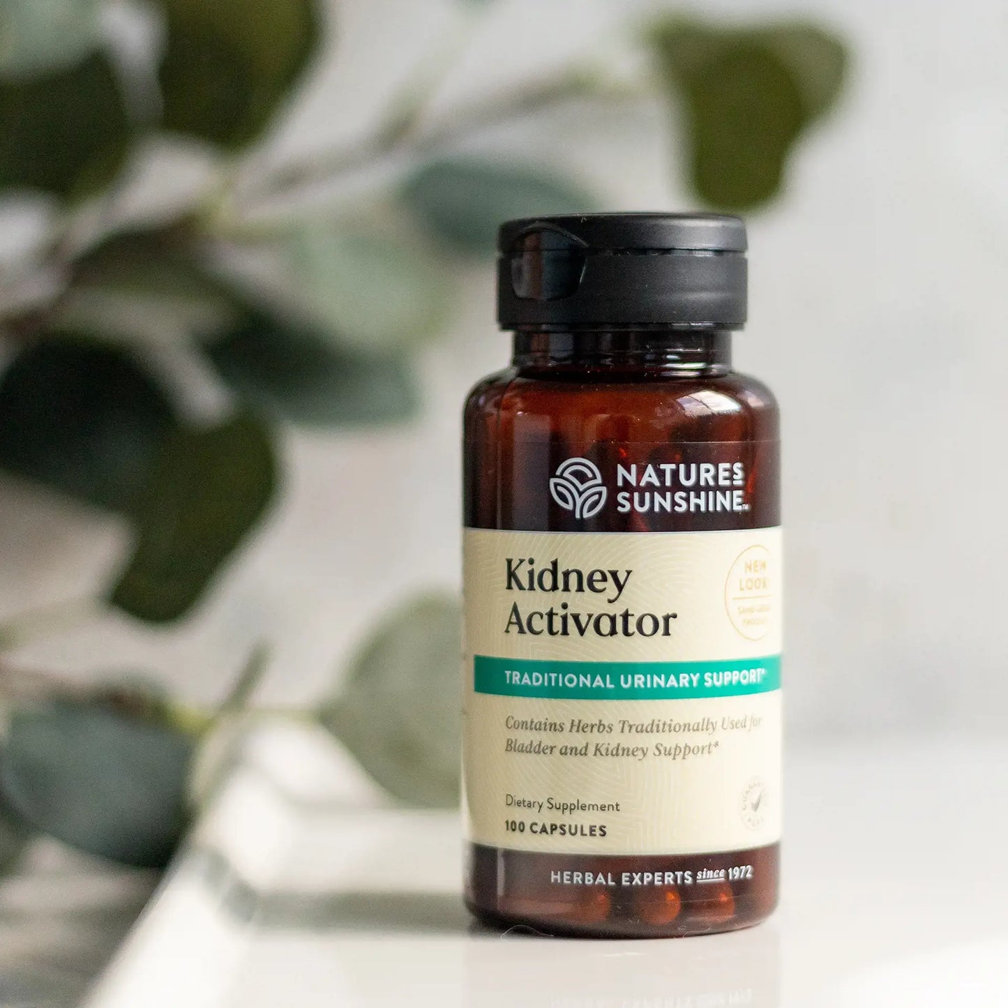 970_kidneyactivator_life1-1920