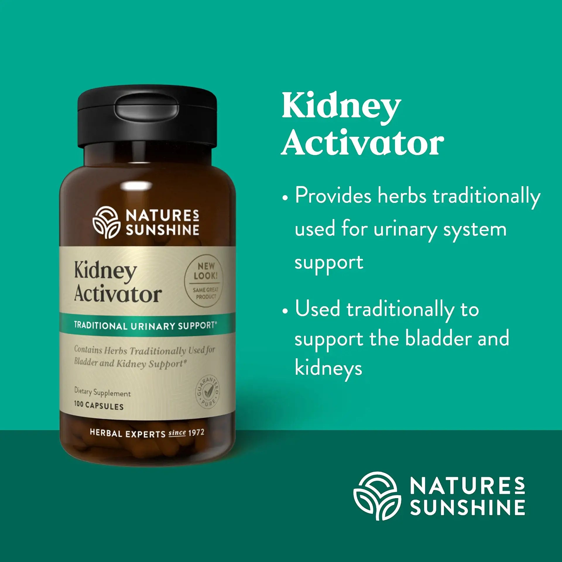 970_kidneyactivator_summary-1920
