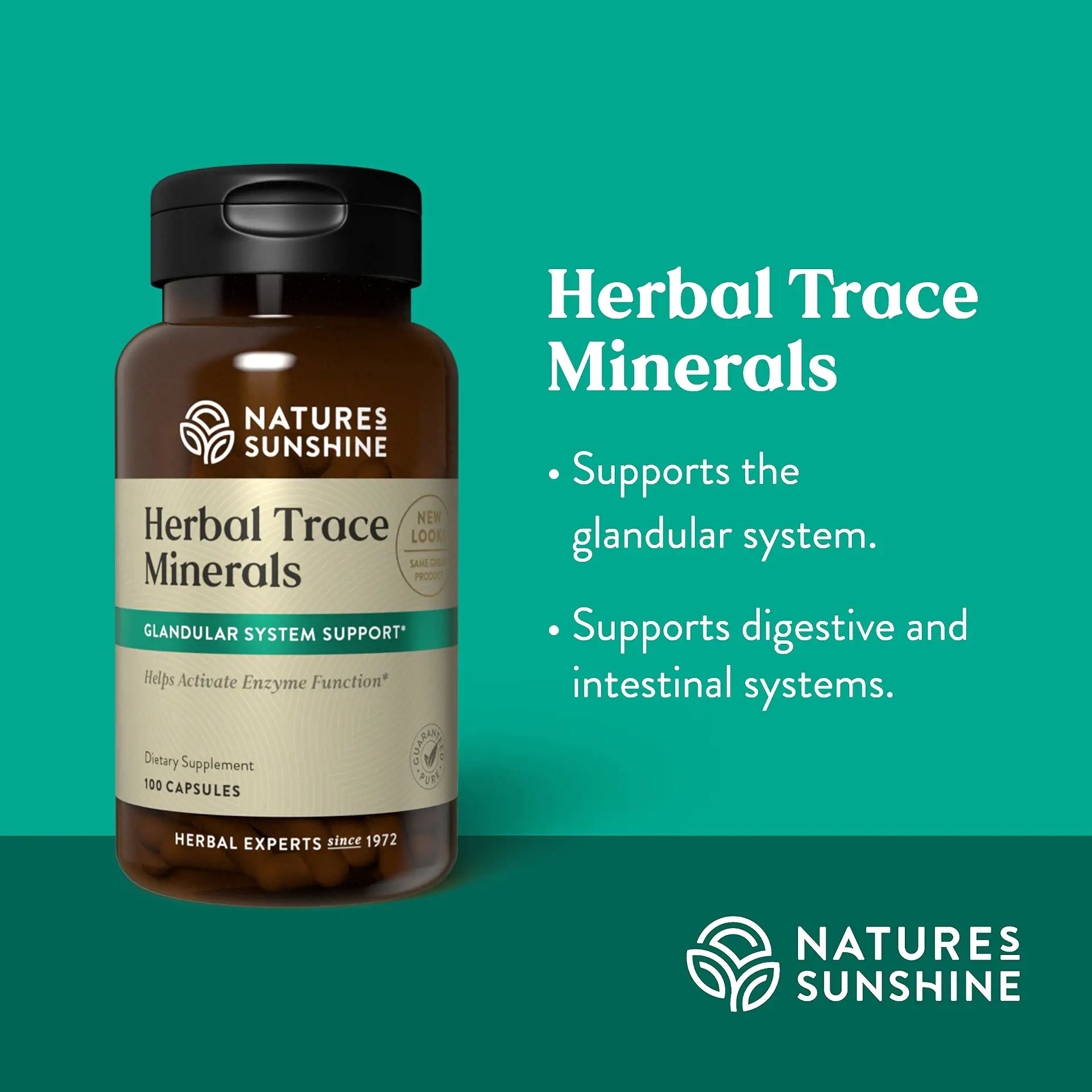 980_HerbalTraceMinerals_Summary-1920