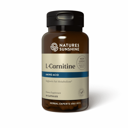 L-Carnitine Energy Supplement bottle with active lifestyle imagery, highlighting natural support for fat metabolism, energy, and performance.