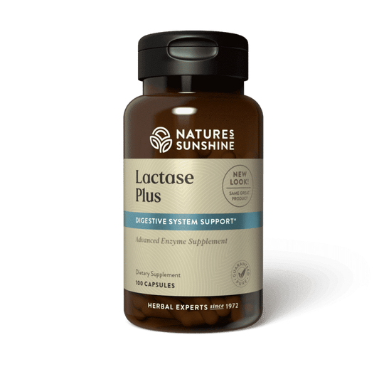 Lactase Plus Supplement bottle with dairy foods, representing digestive enzyme support for lactose intolerance and dairy sensitivity.