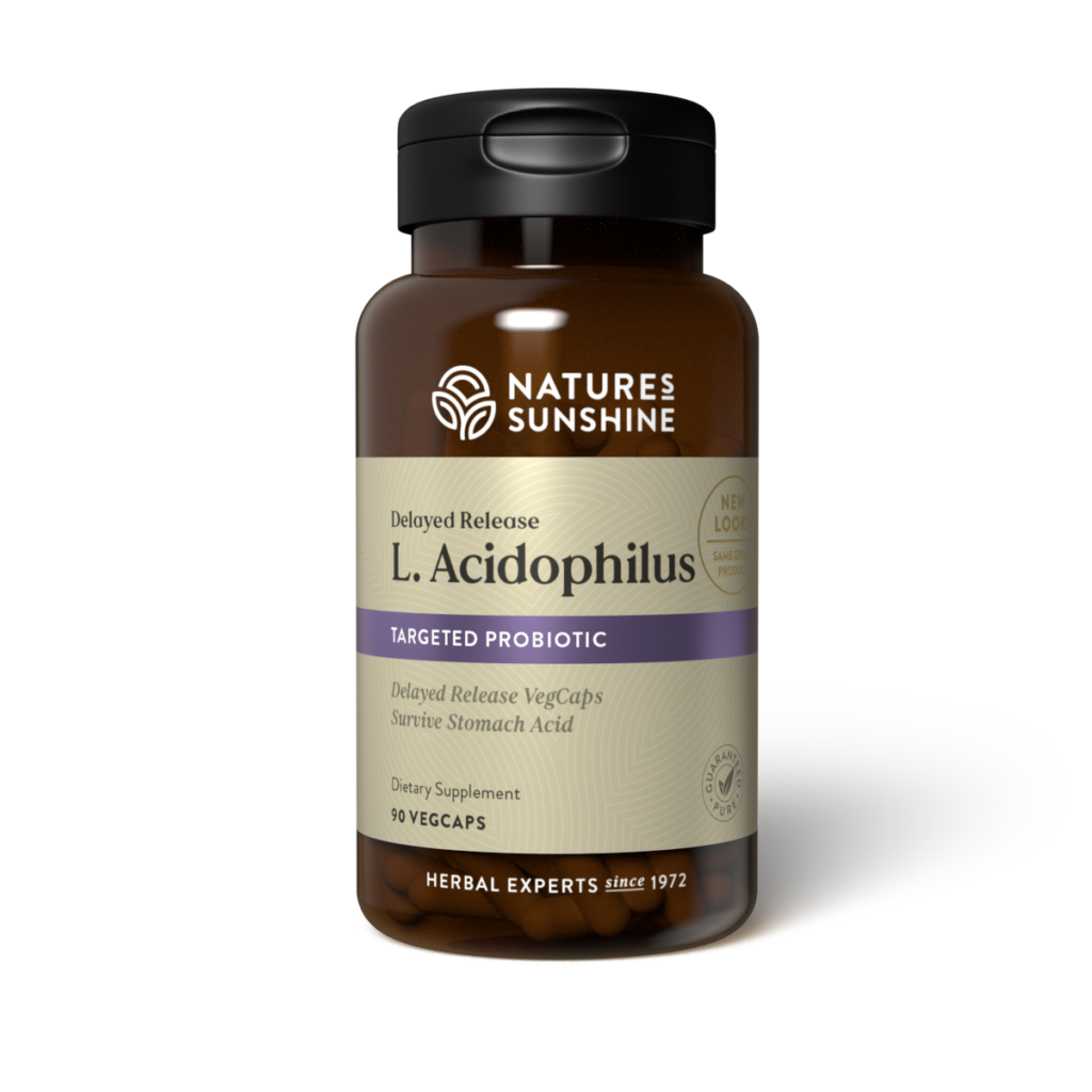 Acidophilus Probiotic Supplement bottle with clean background, highlighting daily digestive and gut health support with friendly bacteria.