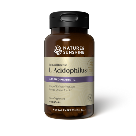 Acidophilus Probiotic Supplement bottle with clean background, highlighting daily digestive and gut health support with friendly bacteria.