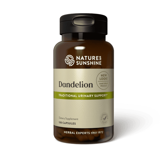 Dandelion root supplement supporting detox, liver, and urinary health