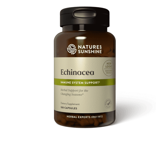 Herbal Echinacea purpurea immune supplement entrance with aerial parts and root