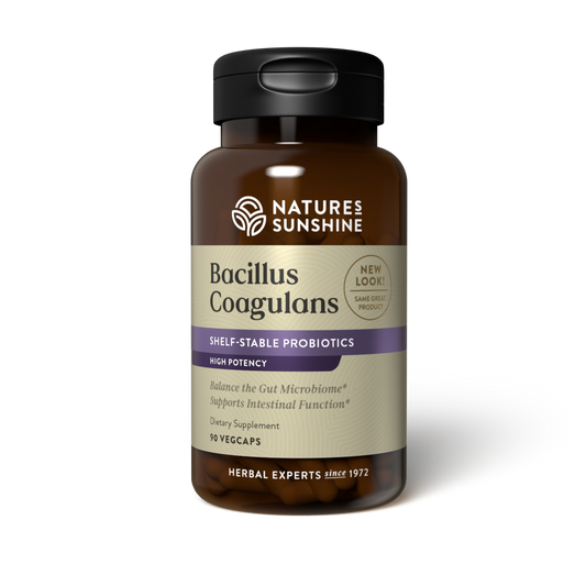 Nature’s Sunshine Bacillus Coagulans probiotic supplement bottle