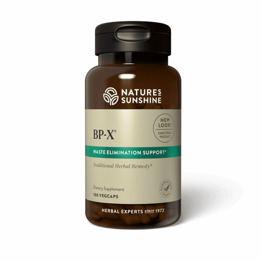 BP-X Blood Cleanse Supplement bottle with detoxifying herbs, representing natural support for blood purification and organ detox.