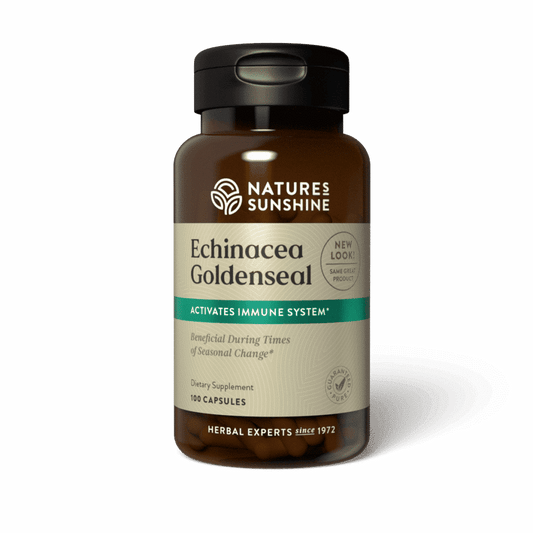 Immune Support Supplement bottle with echinacea flowers and golden seal root, representing natural immune and respiratory system support.