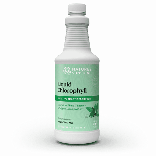 Liquid Chlorophyll bottle with green leaves and splash, symbolizing natural detox, internal deodorizing, and plant-based cleansing support.