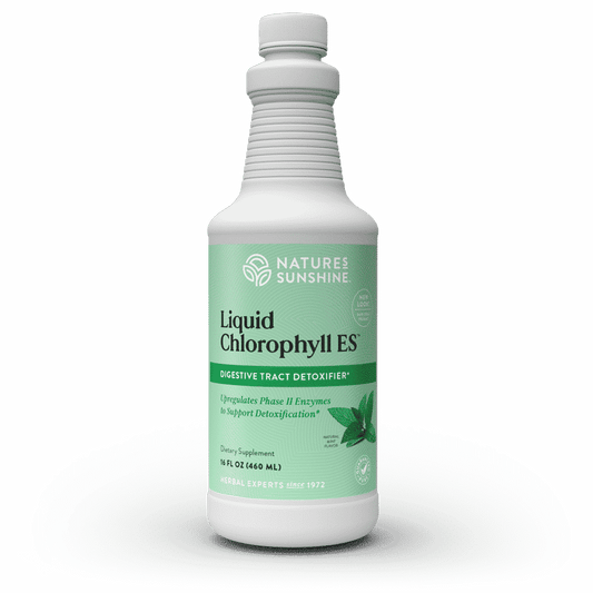 MicrosoftTeams-image-1024×1024