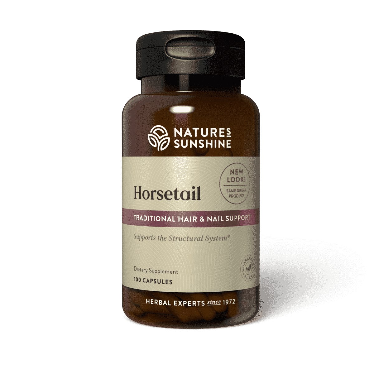 horsetail-_t71tsp