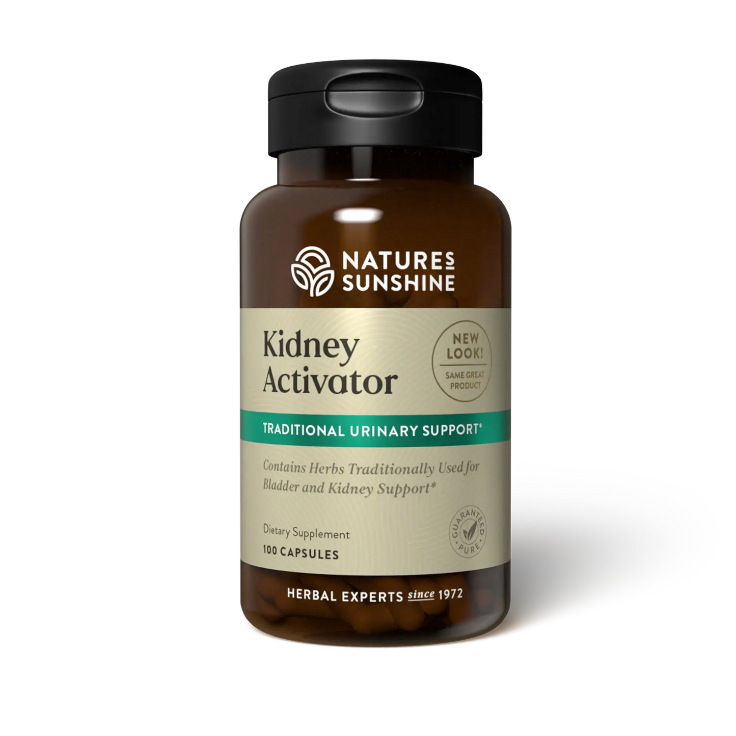 Kidney Activator Herbal Supplement bottle with natural herbs, symbolizing kidney support, urinary health, and fluid balance.