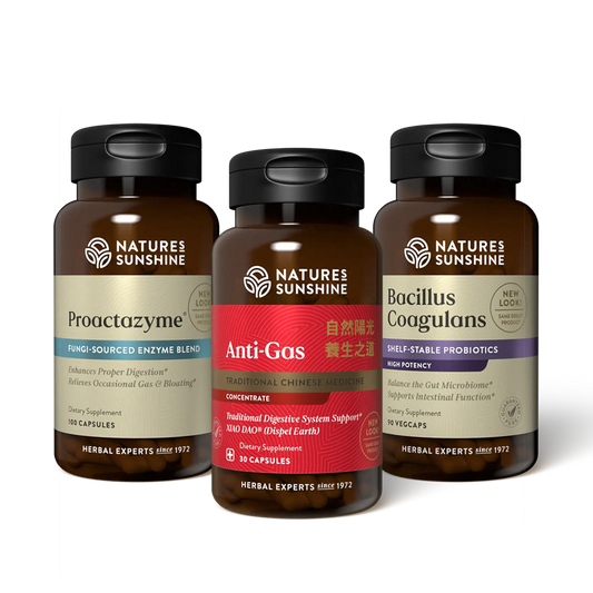 Digestive System Pack