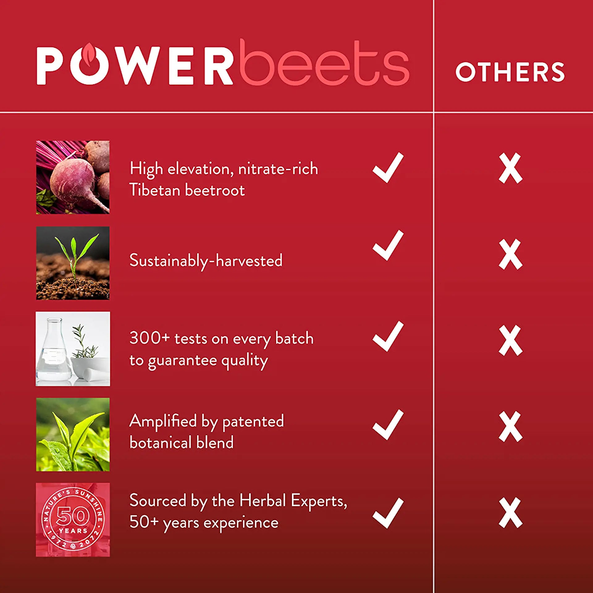 power-beets-infographic-en-1920