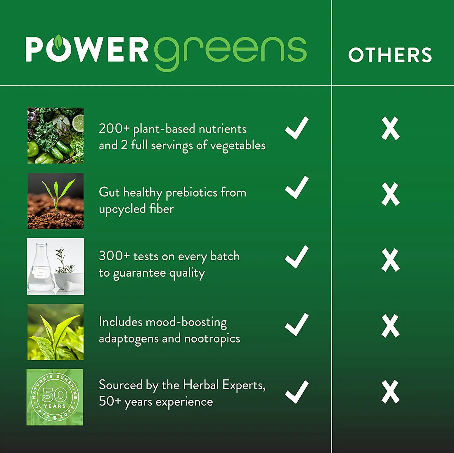 powergreens-infographic-en-1920